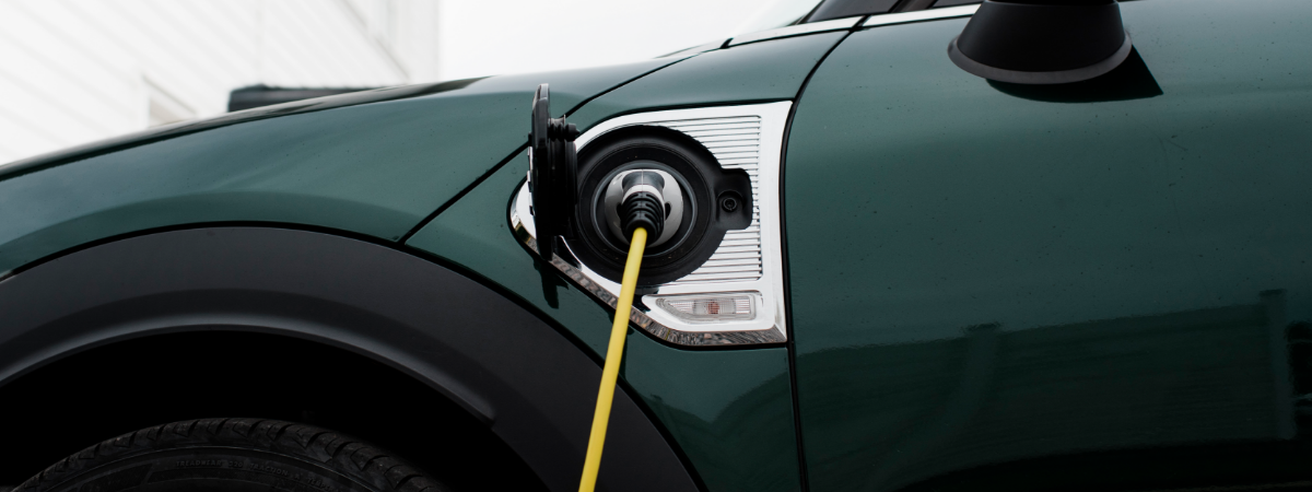 Mytejungle omgiver elbiler og den grønne omstilling