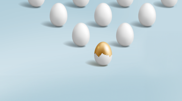 Kvalitetsaktier - Nutidens vindere