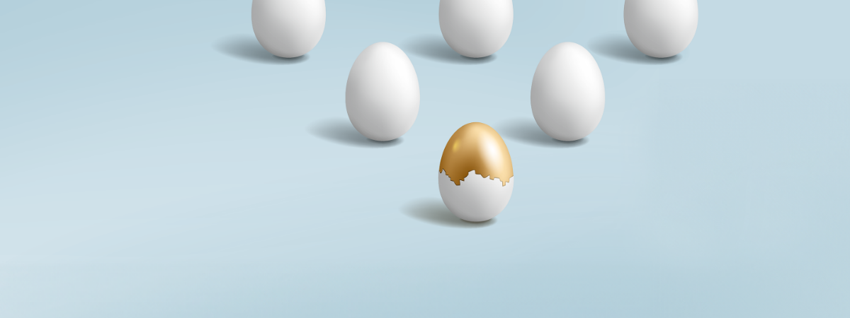 Kvalitetsaktier - Nutidens vindere