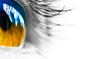 Magtkamp på den verdenspolitiske scene