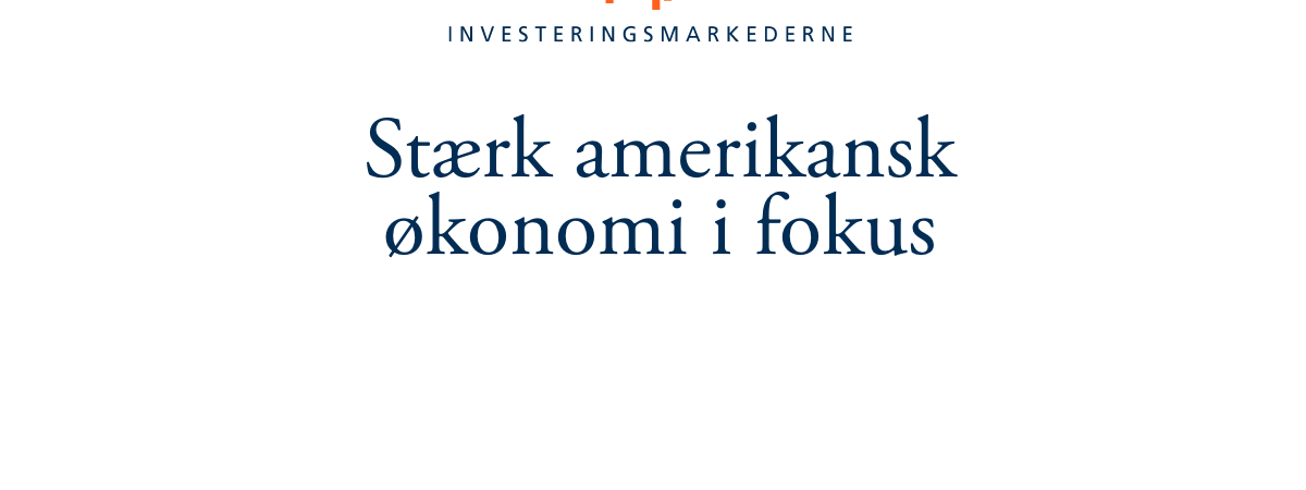 Investeringsmarkederne - Jan2025