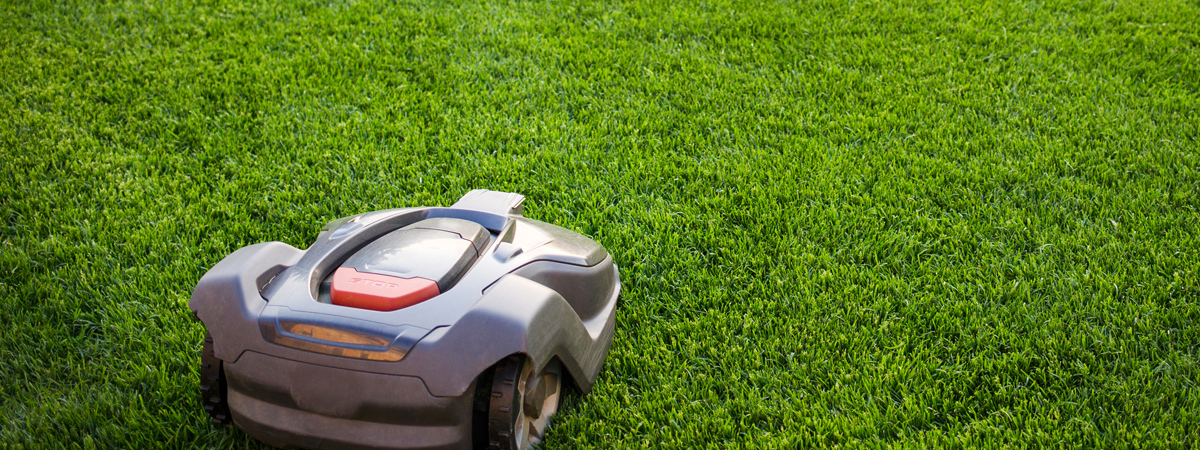 Stor afhængighed af små mikrochips