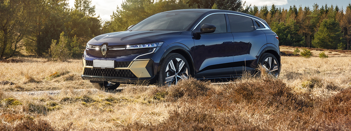 Danskerne har taget elbilerne til sig